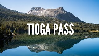 Driving Over Tioga Pass Best Stops on Tioga Road in Yosemite National Park [upl. by Snave]