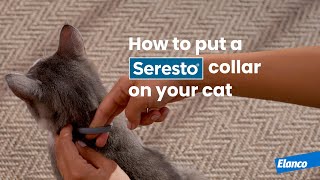 How to Put a Seresto® Collar on Your Cat [upl. by Vas]