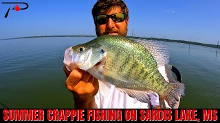 Summer Crappie Fishing Sardis Lake MISSISSIPPI [upl. by Enellek]