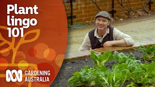 What are annual biennial amp perennial plants  Gardening 101  Gardening Australia [upl. by Old]