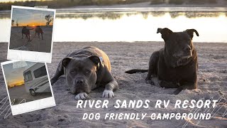 River Sands RV Resort  Ehrenberg AZ  Dog Friendly Campground [upl. by Nelleh64]