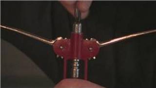 Wine Advice  How to Open Wine With a Lever Opener [upl. by Nyladnar101]