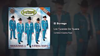 El Borrego  Los Tucanes De Tijuana Audio Oficial [upl. by Barrus]