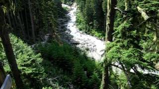 1100foot Zip Line Whistler BC [upl. by Alrak499]