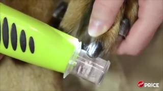 Pet Pedicure Lima elettrica per unghie cani e gatti [upl. by Marlo]