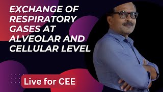 Exchange of gases at alveolar level 3rd Class for CEE Liveclass abhaysir CEE MEC [upl. by Eenwat986]