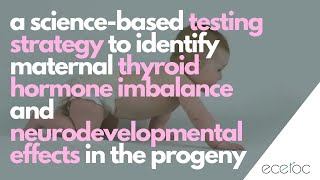 Maternal thyroid hormone T4 imbalance and neurodevelopmental effects in the progeny [upl. by Icram]