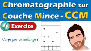 Exercice  CCM 🧪 Chromatographie sur Couche Mince  Physique Chimie  Lycée [upl. by Uokes]