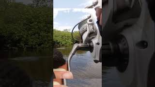 Pesca de pavon en los llanos orientales colombia [upl. by Terrence]