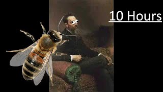 Rimsky Korsakov  Flight of the Bumblebee 10 Hours [upl. by Mcbride]