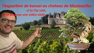 Exposition Monbazillac 2017  LE BONSAi [upl. by Meakem]