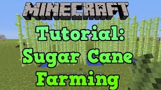 Minecraft PS3  PS4 Sugar Cane Farm Tutorial Farming Tutorial 110 [upl. by Dong269]