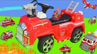 Psi Patrol zabawki  Chase cięzarówka strażak Marshall  Paw Patrol toys for kids [upl. by Mark]