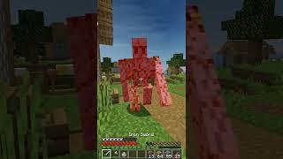 I think my iron golem bugged minecraft [upl. by Feldstein]