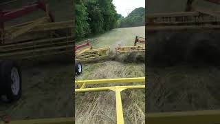 Double Hay Rake Hitch [upl. by Faustena746]