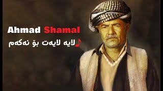 Ahmad Shamal  Laya Layat Bo Akam لایه‌ لایه‌ت بۆ ئه‌كه‌م [upl. by Annaiuq]