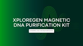 DNA Purification using Magnetic Beads  Xploregen Discoveries Pvt Ltd [upl. by Ivad]