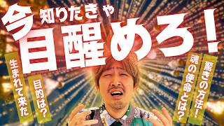 魂の使命に“今”目醒めろ！あなたが生まれた本当の目的を知るには？ [upl. by Ailec]