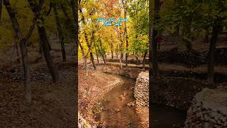 هوای پاییزی روستای دشتک🍁🤍 shiraz iran روستاگردی شیراز استانفارس [upl. by Grosvenor988]