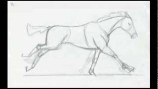 Galloping Horse Animation Progress [upl. by Gallenz]