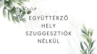 EGYÜTTÉRZŐ HELY SZUGGESZTIÓK NÉLKÜL [upl. by Oilenroc]