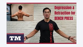 TM Bench Series  Depression and Retraction KEY FOR A STABLE SOLID BENCH PRESS [upl. by Basil366]