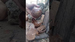 asmr skill in removing coconut from the shell [upl. by Mackay]