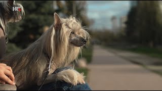 Veterinarska ambulanta Ljepotica Canna  Kod nas doma  HRT [upl. by Forta195]