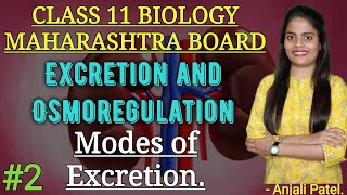 Class 11Excretion and Osmoregulation Modes of Excretion Anjali Maam [upl. by Grand]