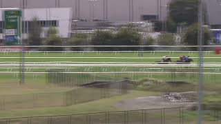 Heat 16  Doomben Jumpouts 08112023 [upl. by Eenolem]