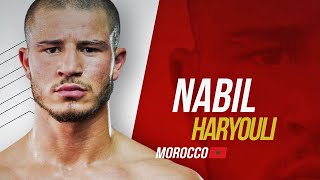 Nabil Haryouli Full Fight Marathon  Moroccan Knockout Artist [upl. by Dalila696]