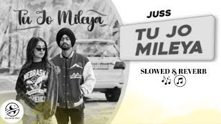 Tu Jo Mileya Full Song SlowedReverb❤️🎧 [upl. by Aineles]