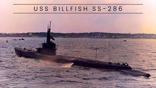 The Remarkable Story of USS Billfish A BalaoClass Hero [upl. by Pruter]