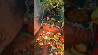 Tulsi vivah navratrispecial tulsipuja tulsibhajan song pradeepmishrajikeupay [upl. by Remington]