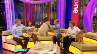 BBC Bloopers  Outtake TV  9042010 [upl. by Yneffit]