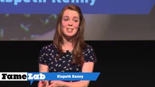 The survival of the bluefooted bubi  Elspeth Kenny FameLab 2013 UK Final [upl. by Ititrefen]