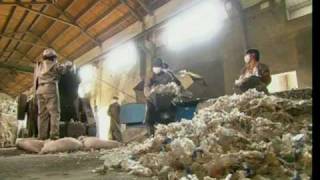 How Plastic Bottles Are Recycled Into Polyester [upl. by Bernie]