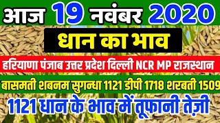 19 नवंबर 2020 बासमती 1121 शबनम सुगन्धा1718 शरबती 1509 और 1401 धान का रेट आज का  Dhaan Mandi Bhav [upl. by Anelyak]