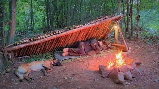 2 Days Solo BUSHCRAFT SHELTER Camping in the Woods with My Dog Survival Wild Camping ASMR DIY [upl. by Enimzaj602]