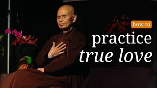 True LOVE  Teaching by Thich Nhat Hanh [upl. by Emsmus]