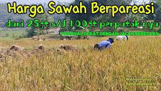 Ada Sawah Murah dan Mahal Padahal gak jauh dari jalan pedesaan I Perpatok 25jt sd 100jt [upl. by Henig]