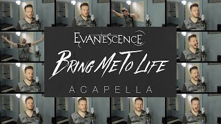 Bring Me To Life ACAPELLA  Evanescence [upl. by Dulci]