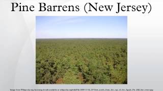 Pine Barrens New Jersey [upl. by Cantu972]