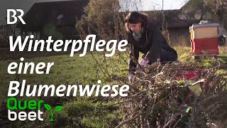 F 6 Winterpflege einer Blumenwiese [upl. by Kruger889]