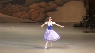 240319 Polina Semionova entrance of Giselle [upl. by Birck]