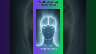 Third Eye Chakra and Pituitary Gland shorts thirdeye pituitarygland [upl. by Nelg]