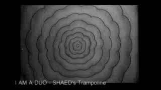 I AM A DUO  SHAED Trampoline REMIX [upl. by Davey]