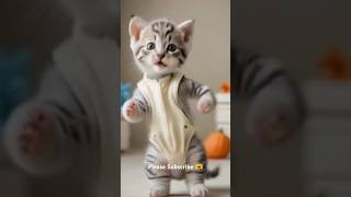 Cat Latest Dance for YT shorts [upl. by Sainana]