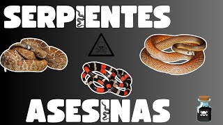 quotLas 10 Serpientes Más Venenosas del Planeta Peligros que Deslizan en la Naturaleza [upl. by Brebner]