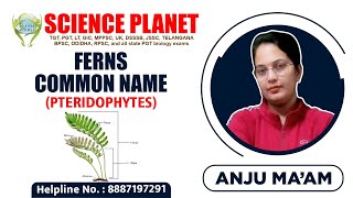 FERNS  Common Name Pteridophytes by Anju Mam of Science Planet [upl. by Ennaira]